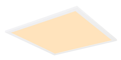 41597D1 Светильник настенно-потолочный