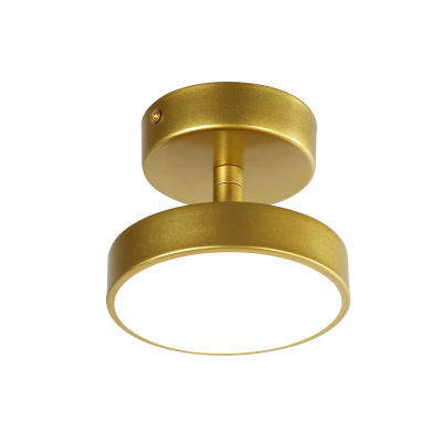 3059-1P Потолочный светильник