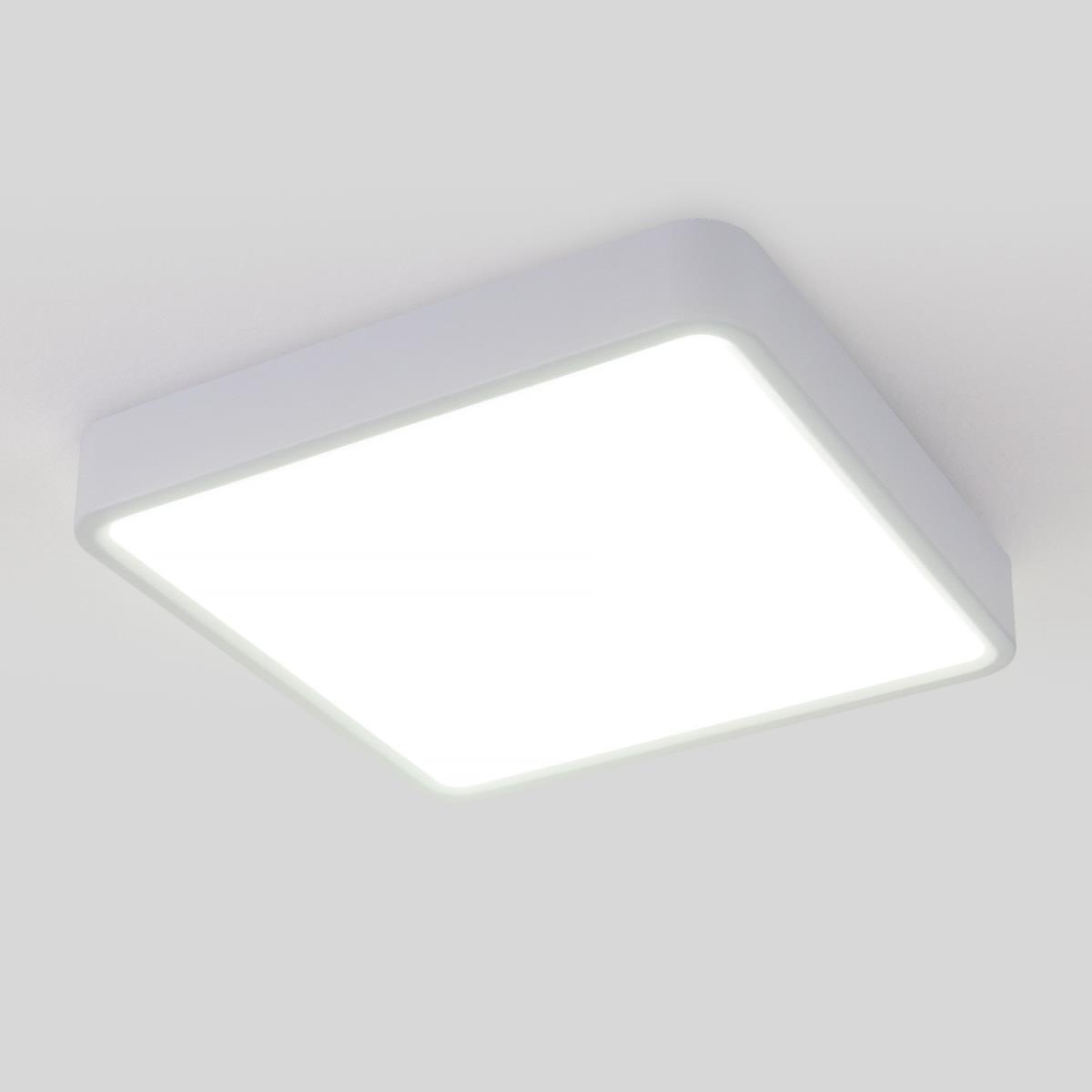 Потолочный светодиодный светильник Elektrostandard DLS034 18W 4200K a043017