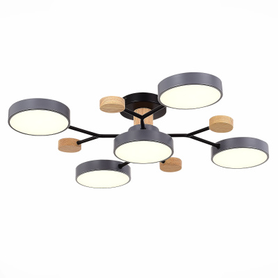 SLE6006-702-05 Светильник потолочный Серый/Серый LED 5*12W 3000K/4500K/6000K