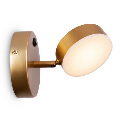 FR10009CW-L6MG Спот