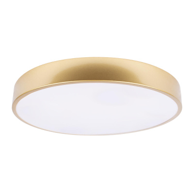 10228/A Потолочный светильник LOFT IT Flims, шт