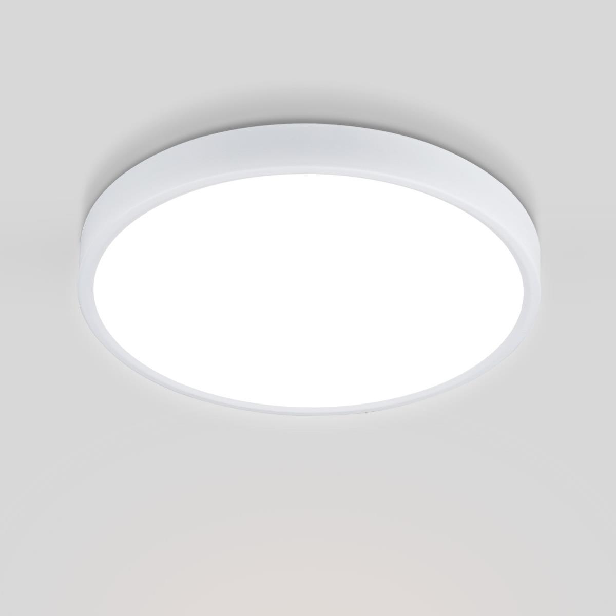 Потолочный светодиодный светильник Elektrostandard DLR034 24W 4200K a043016