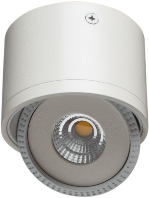 A4105PL-1WH точечный