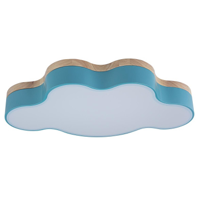 10005/30 Blue Светильник потолочный LOFTIT Axel, шт