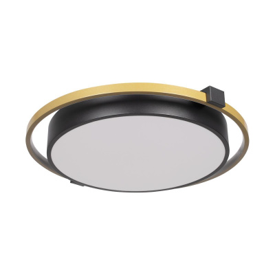 10170 Потолочный светильник LOFT IT Mike, шт