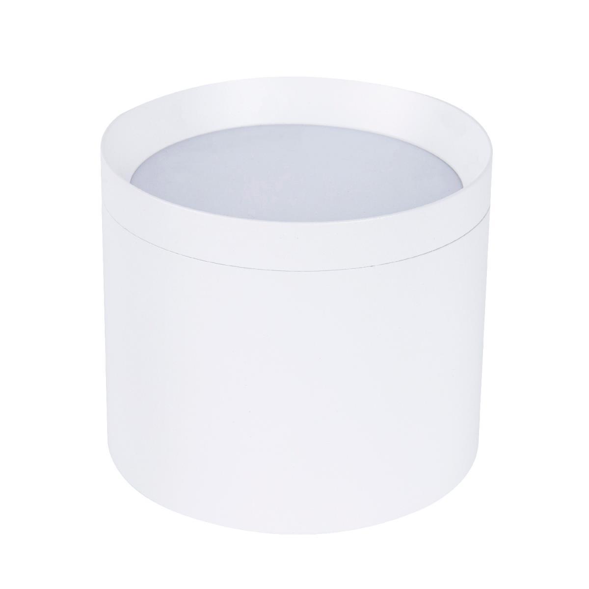 Накладной светильник Favourite 4708-1C