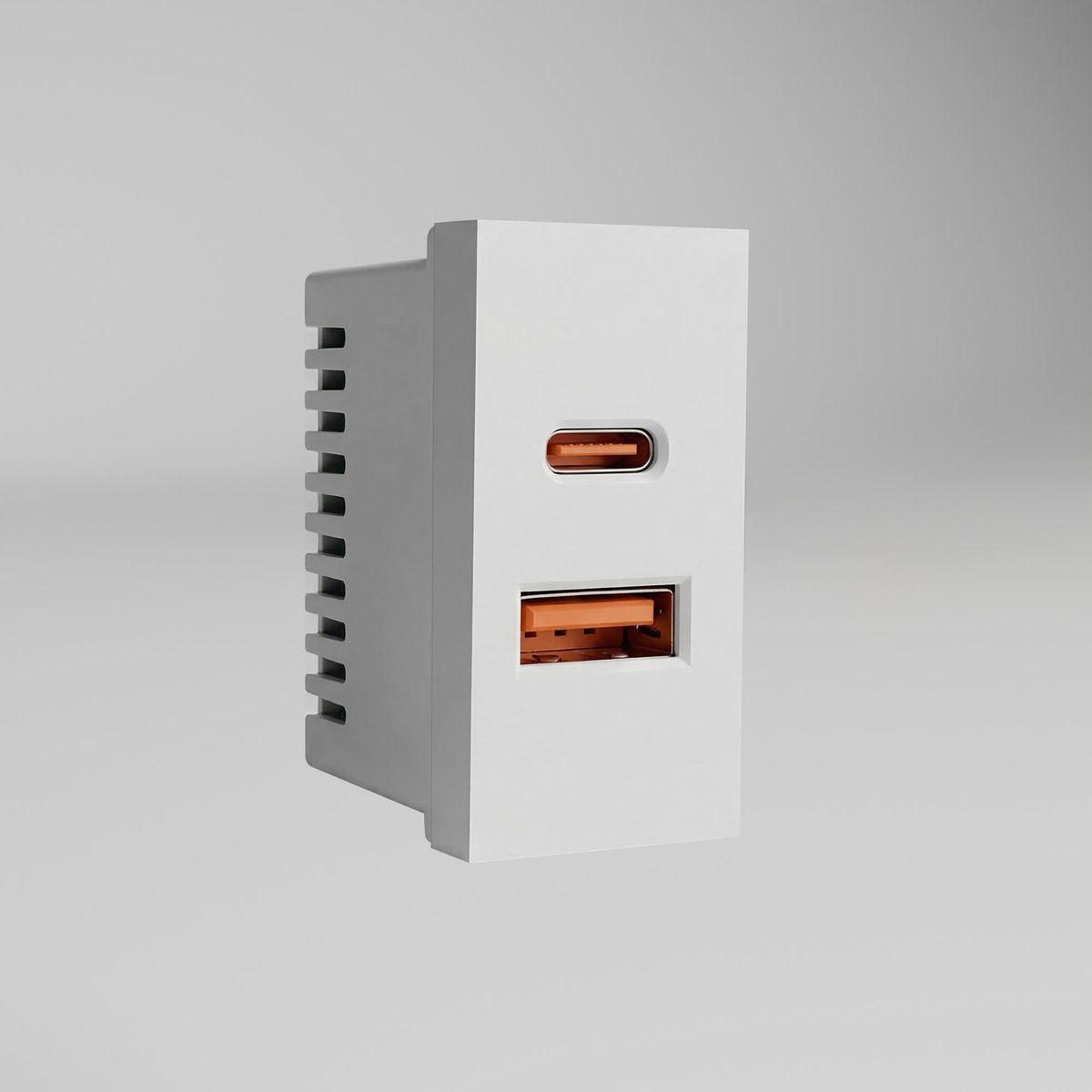 Модульная розетка USB тип A+C 45*22,5 Werkel белый W1272701 4630644890062
