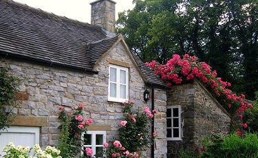 Как сделать дачный участок светлее