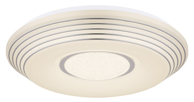 41293-40 Светильник настенно-потолочный