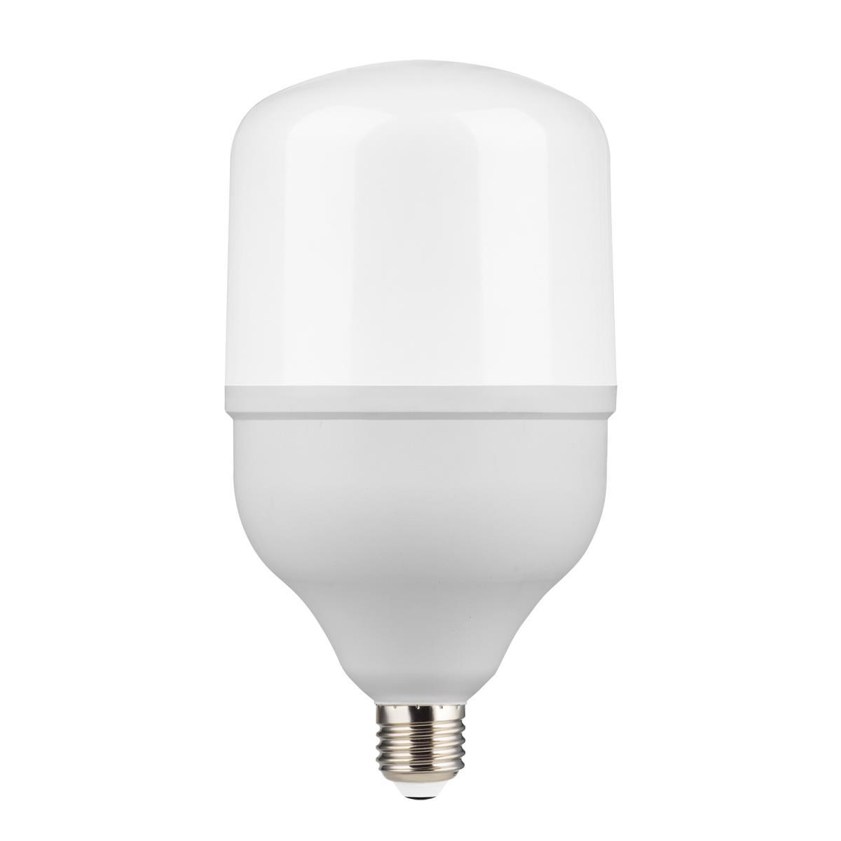 Лампа светодиодная Gauss E27 50W 6500K матовая 63235