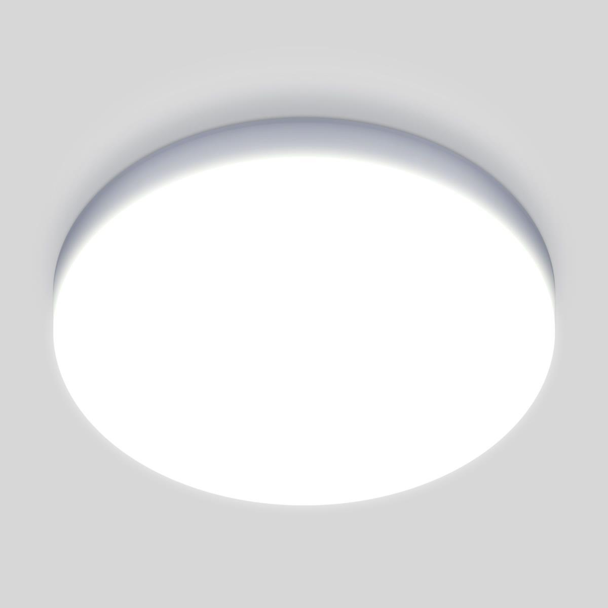 Потолочный светодиодный светильник Elektrostandard DLR043 10W 4200K a047940