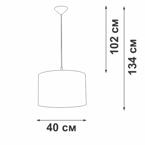 Потолочная люстра Vitaluce V2827-1/1S