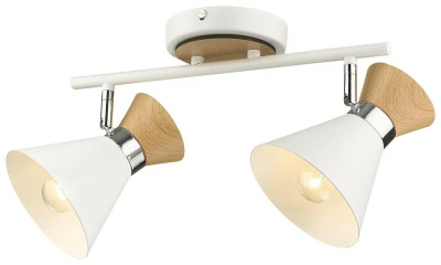 218-007-02 Потолочный светильник