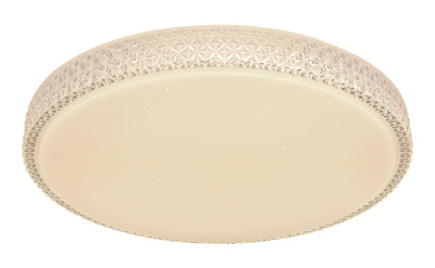 41749-40 Светильник настенно-потолочный