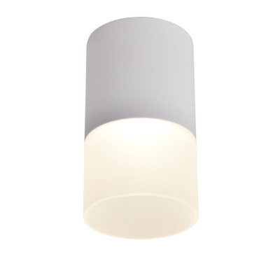 3069-1C Потолочный светильник