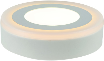 A7809PL-2WH точечный