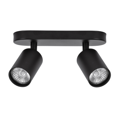 A3226PL-2BK Спот Arte Lamp AQUARIUS A3226PL-2BK