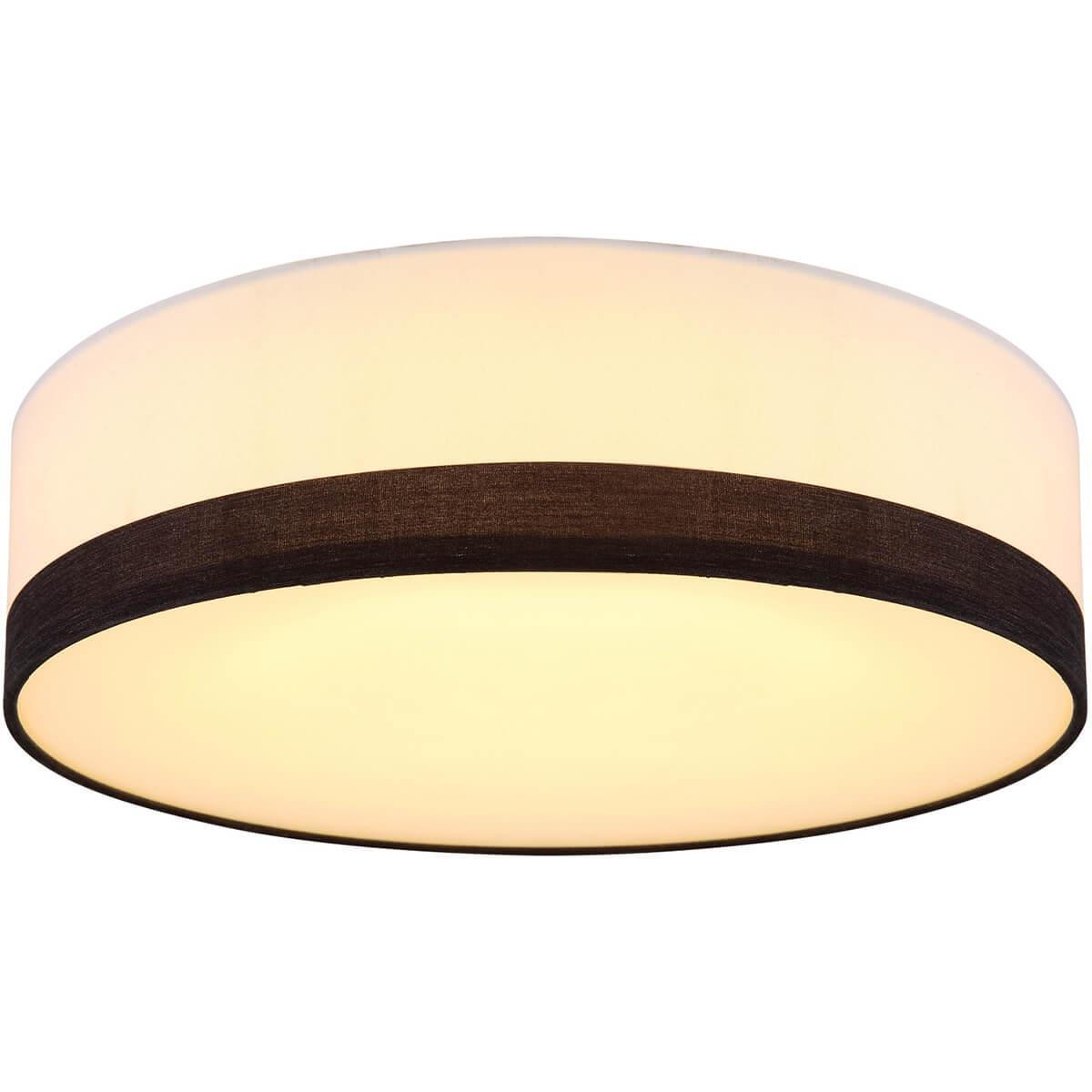 Потолочный светодиодный светильник Globo Maggy 15385D1