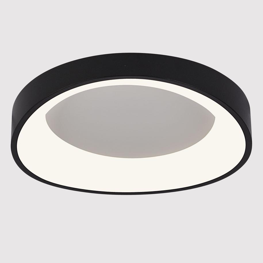 Потолочный светодиодный светильник Arte Lamp Sualocin A2698PL-48BK