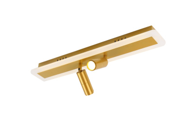 A2607PL-22GO Спот