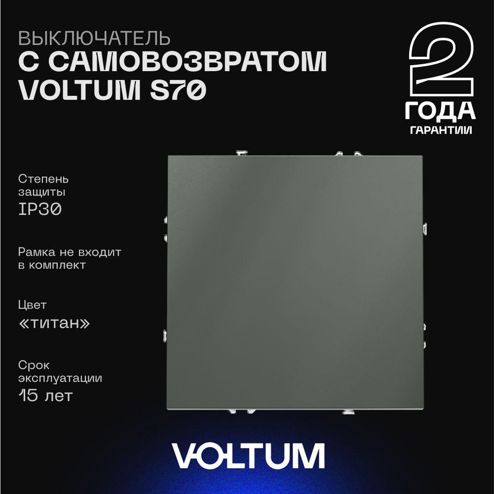 Выключатель с самовозвратом встраиваемый Voltum S70 одноклавишный 10А, (титан) VLS010606