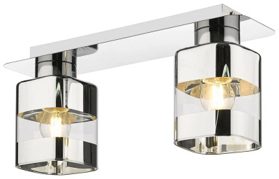 241-107-02 Потолочный светильник