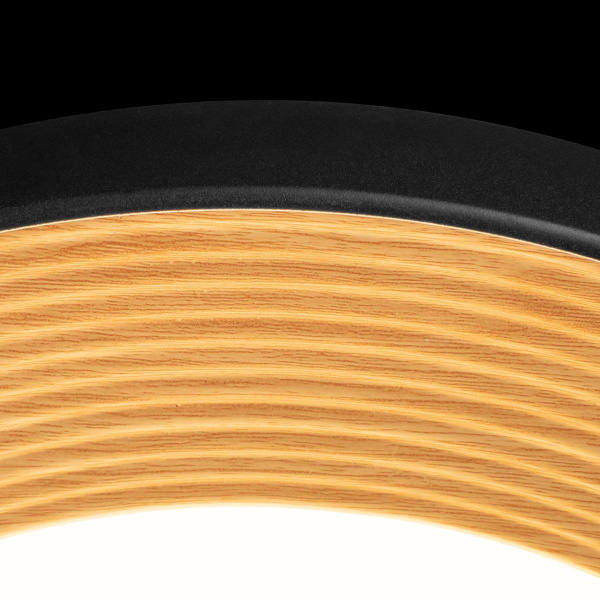 Потолочный светильник Loft IT Folk 10255/500 Black