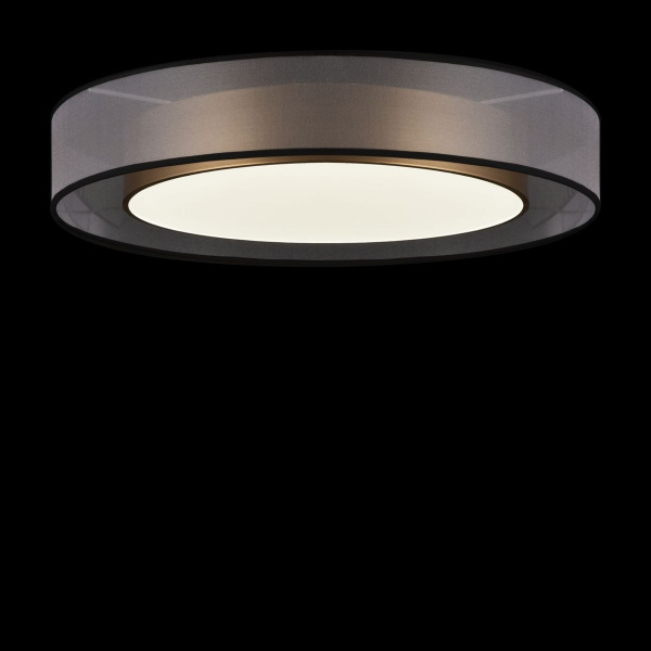 Потолочный светодиодный светильник Freya Zoticus FR6005CL-L48G