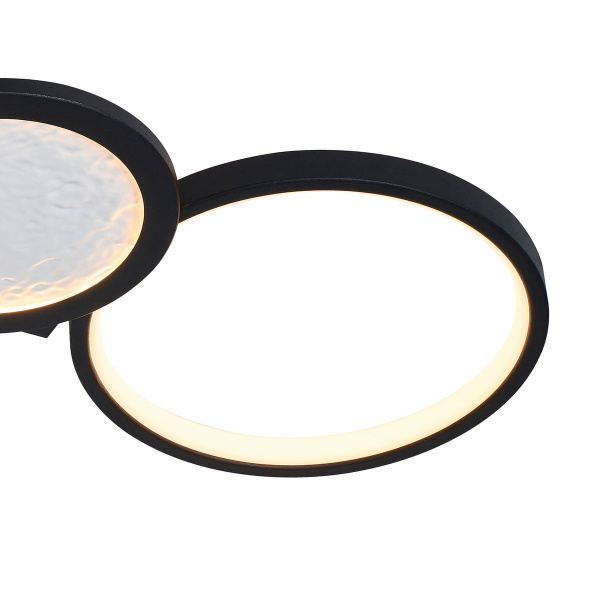 Потолочный светодиодный светильник Favourite Neumel 4700-4C