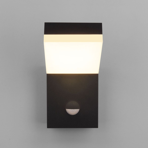 Уличный настенный светодиодный светильник Elektrostandard Sensor 1541 TECHNO LED a072087