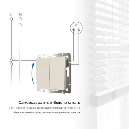 Выключатель двухклавишный с самовозвратом Werkel слоновая кость W1122403 4690389192326