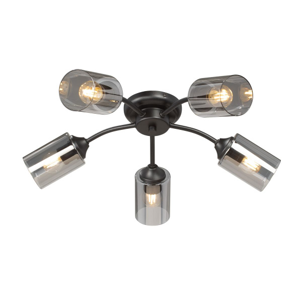 Потолочная люстра Vitaluce V2558-1/5PL