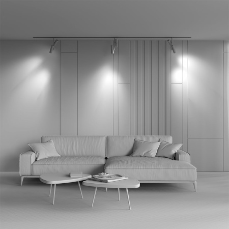 Трековый светодиодный светильник Maytoni Technical Magnetic Exility Elti Duo TR005-4-2X12W-DS-BBS