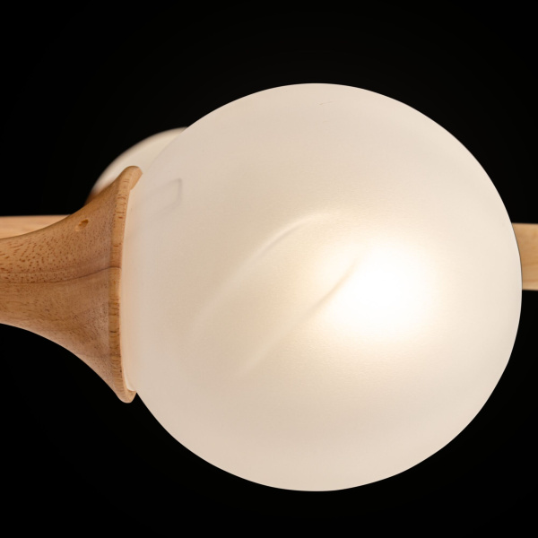 Потолочный светильник Freya Amy FR5105CL-06W