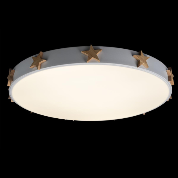 10006/36 White Светильник потолочный LOFTIT Axel, шт