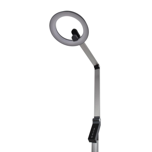 Торшер Lumion Ledio 8332/15FL