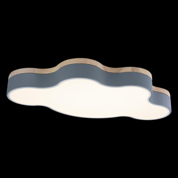 10005/36 Grey Светильник потолочный LOFTIT Axel, шт