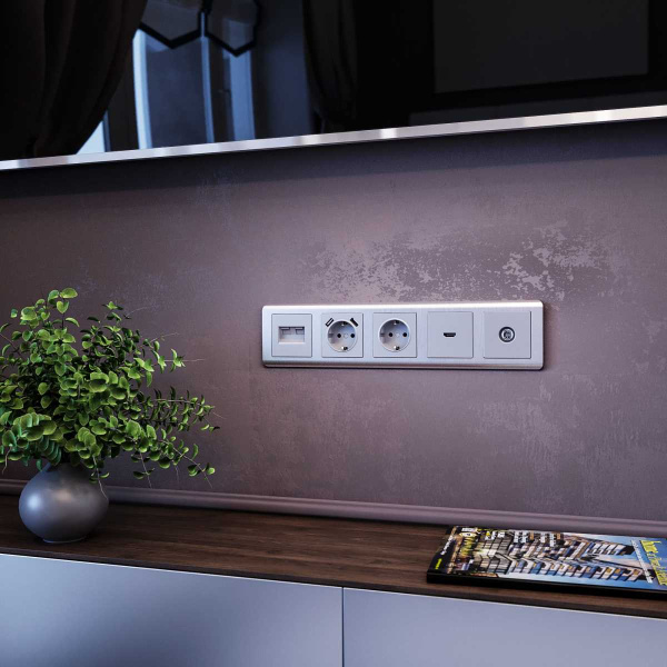 W1184006/ ТВ-розетка проходная (серебряный)