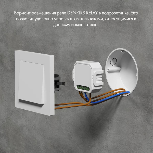 Wi-Fi реле-выключатель одноканальное Denkirs 1x2300Вт/250Вт для LED RL1001-SM/1