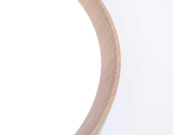 FZ1320 Потолочный светодиодный светильник с пультом FZ1320 GR/LWD серый/светлое дерево IP20 41W 3000