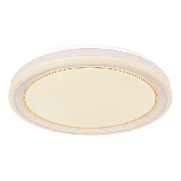 Потолочный светодиодный светильник Globo Tebby 48274-40