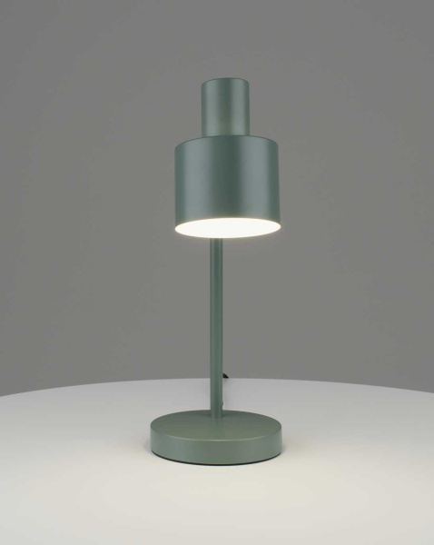 Лампа настольная Moderli Artis V11265-1T