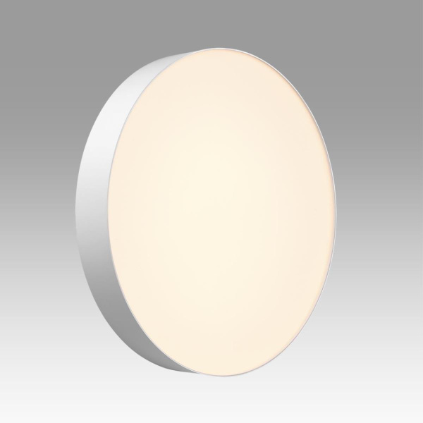 Настенно-потолочный светильник Sonex BASICA 7779/ELN