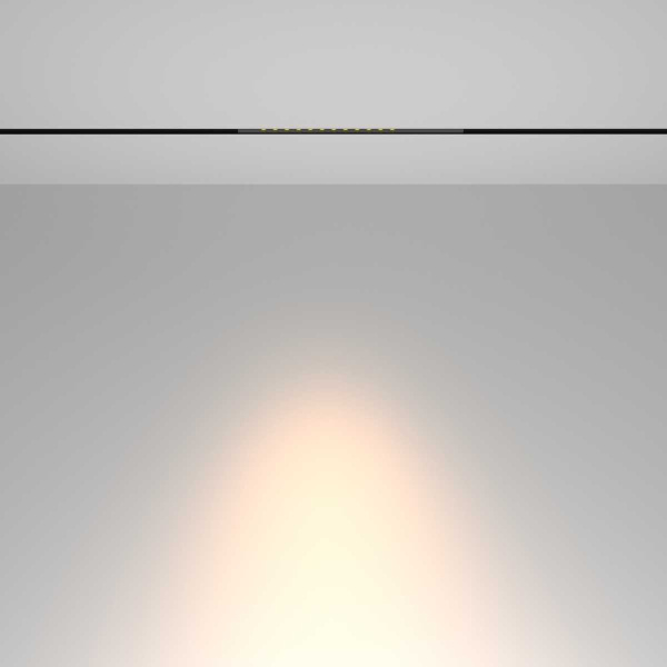 Трековый светильник Maytoni Technical TR232-2-10W3K-B