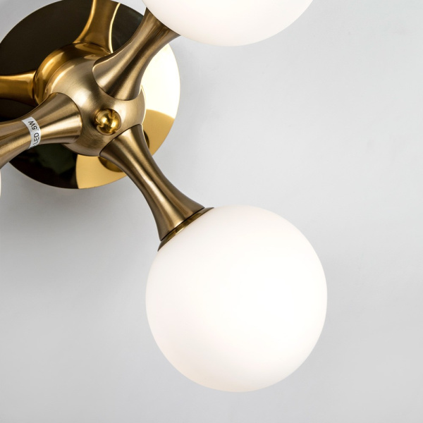 Бра Modelux Modestyle MS.6116.03 BS