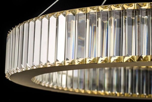 Подвесной светодиодный светильник Arti Lampadari Anzio L 1.5.80.100 G