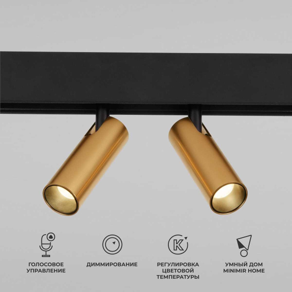 Трековый светодиодный светильник Elektrostandard Slim Magnetic Dim Dual 85056/01 латунь a063527