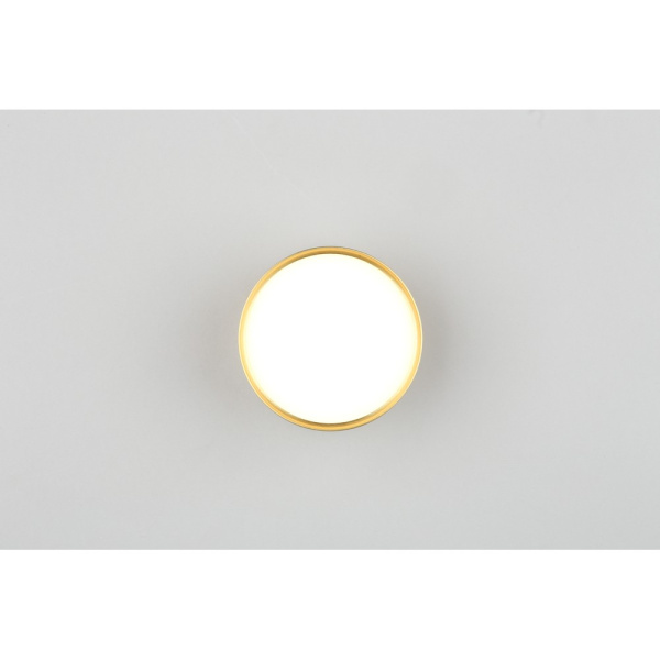 Потолочный светодиодный светильник Omnilux Salentino OML-100929-06