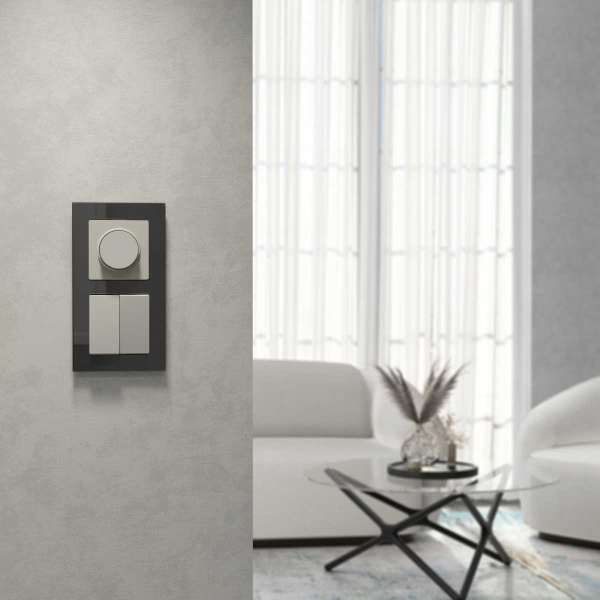 Выключатель двухклавишный (дымчатый) W1220004/ a069452